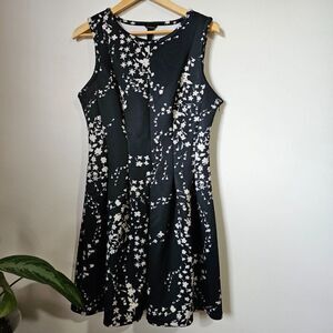 EUC ANN TAYLOR FLORAL SKATER DRESS BLACK / WHITE SIZE 12